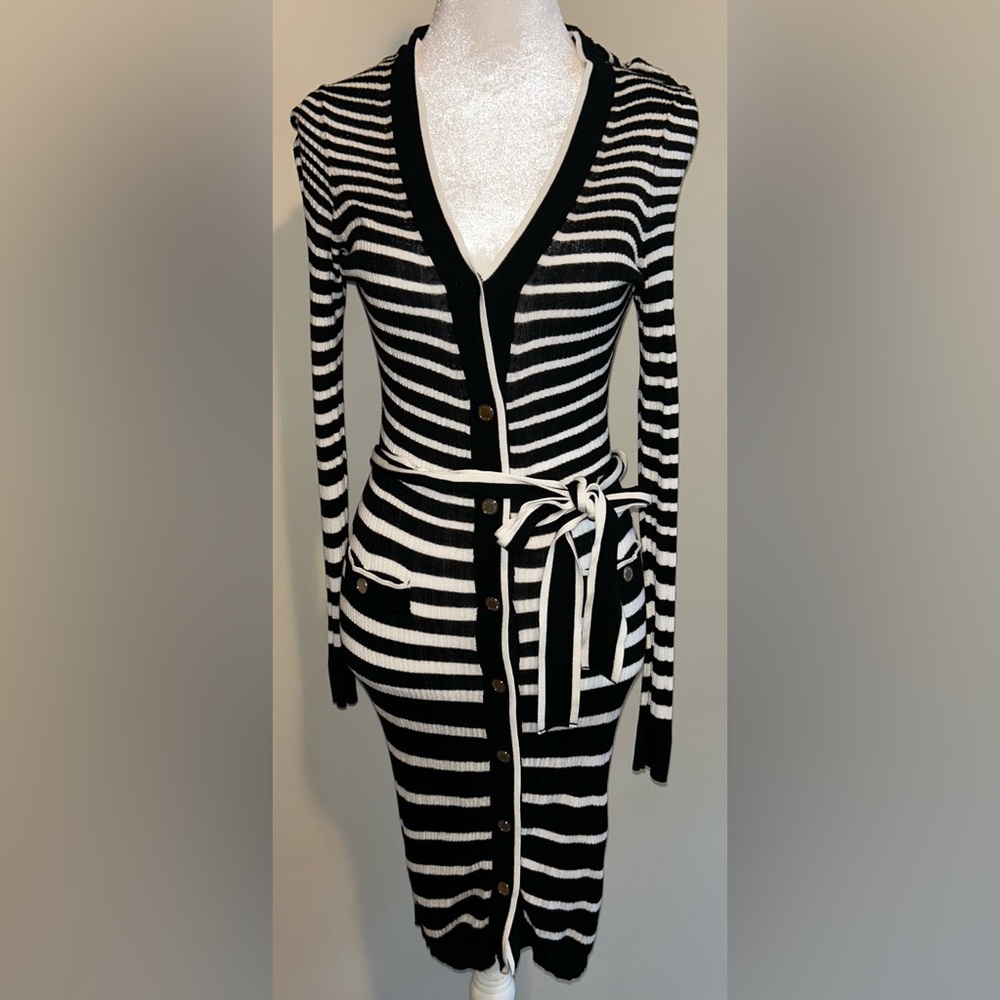 White House Black Market Black and White Striped Dress